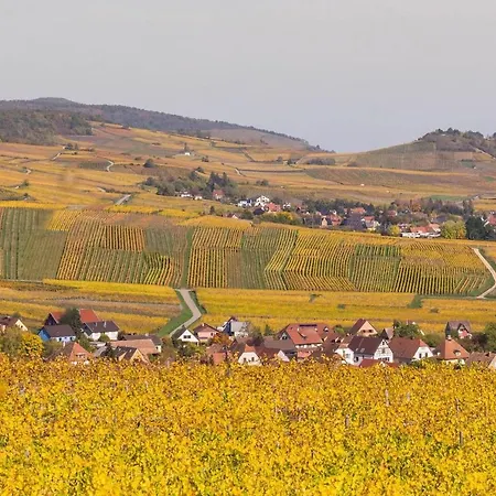 Apartment Alsacien Ribeauville (Haut-Rhin)