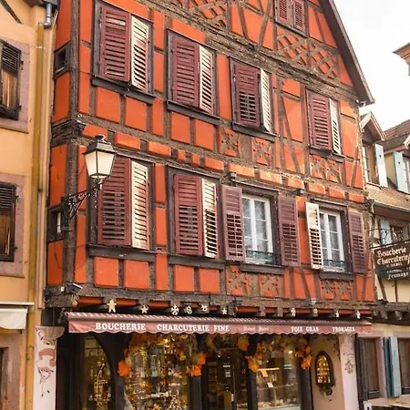 Apartment Alsacien Ribeauville (Haut-Rhin)